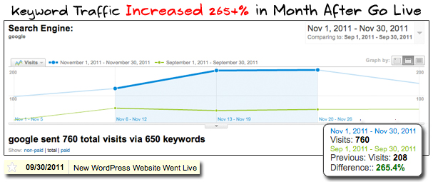 Traffic Growth from Organic Keywords