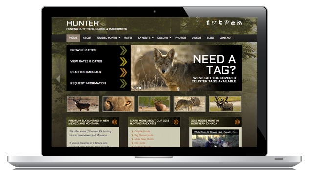 Introducing Hunter: Hunting Website Design on a Budget