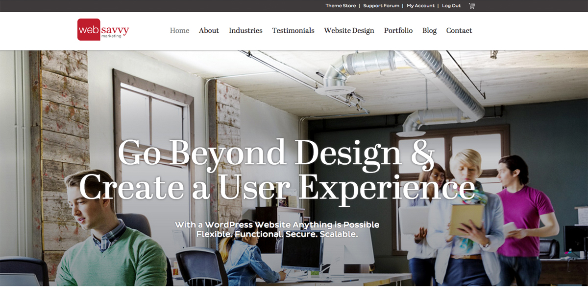 Michigan Website Design and SEO | Web Savvy Marketing