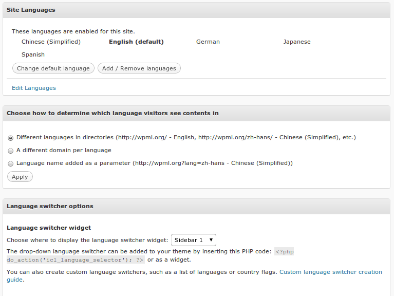 Custom language. Мультиязычность WORDPRESS плагин. WORDPRESS язык. Wp-WPML_current_language. WPML использовать редактор перевода WPML для перевода: этот страница.