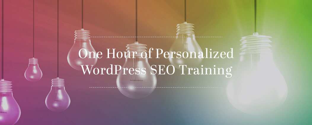One Hour of Personalized WordPress SEO Training