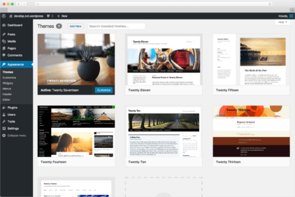 WordPress Theme Selection